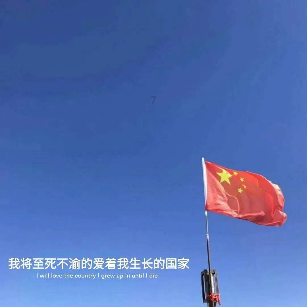 超萌荷花仙子